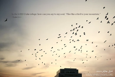 Psalm 11:1 Wallpapers   Christian Wallpapers And Backgrounds