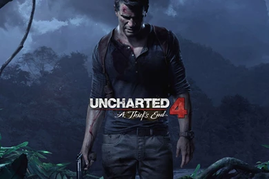 Forest At Night Time Wallpaper.