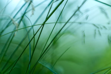 Desktop Backgrounds Wallpapers HD Wallpapers Desktop Wallpapers ...