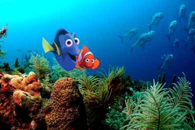 37 Finding Nemo HD Wallpapers