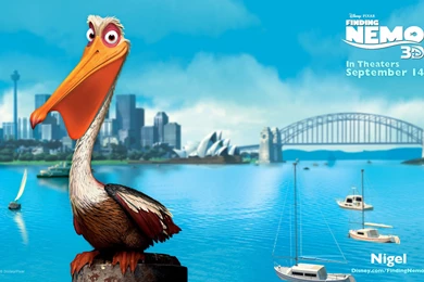 Nigel Finding Nemo 3D HD Wallpapers