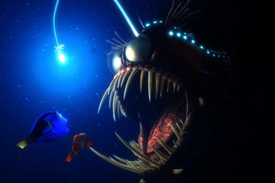 Finding Nemo Wallpapers   (