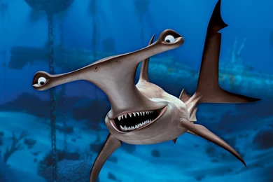 Hammerhead Sharks Finding Nemo HD Wallpapers