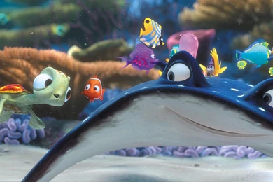 FINDING NEMO Animation Underwater Sea Ocean Tropical Fish ...