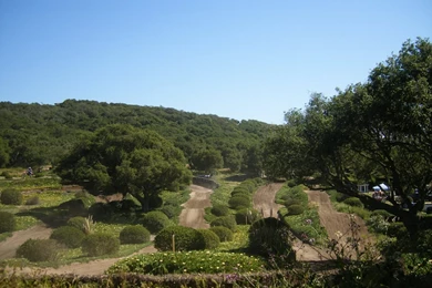 Killer Back Yard Track!!