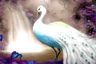 Most Beautiful Painting