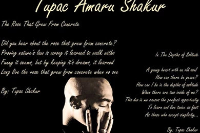 My Favorites Rappers ! On Pinterest