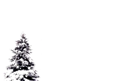 Christmas Wallpaper,Free Christmas Wallpapers,Christmas Day Wall ...