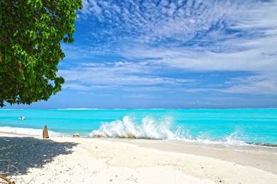 Cute Cat Sleeping Wallpapers Desktop   Kemecer.com