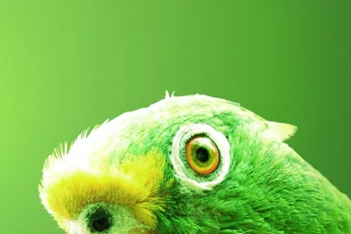 35+ Stunning Fresh HD iPhone Wallpapers