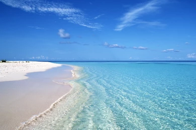 Summer Blue Beach Wave Wallpapers