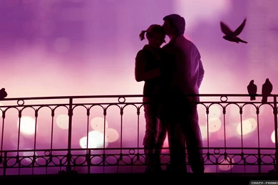 Love At First Sight Wallpapers   Crazy Frankenstein