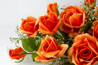 5428) Orange Rose Backgrounds HD Wallpapers   WalOps.com