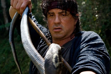 Sylvester Stallone