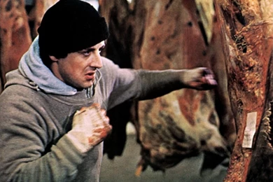 Male Celeb Wallpapers: Sylvester Stallone Wallpapers