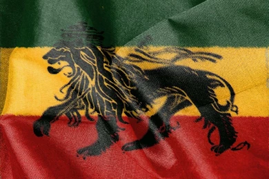 Reggea,Rasta,Weed Favourites By Bawaretzo On DeviantArt