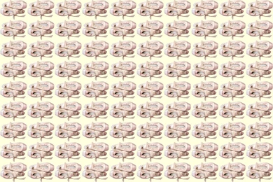 Ballet Shoes Wallpapers