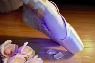 Ballet Shoes (id: 53145) – BUZZERG