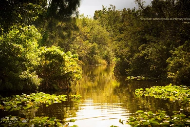 The Truth Within Moves As Intimacy Of Being.” —John De Ruiter