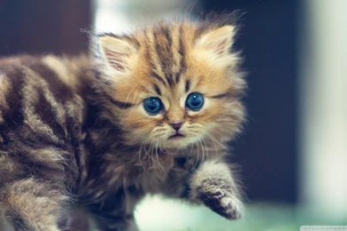 Galaxy 2048 Wide 1152 Pixels Tall Image Gallery   Photonesta