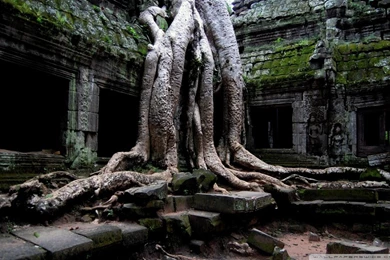 Angkor Wat Temple, Cambodia HD Desktop Wallpapers : High Definition ...