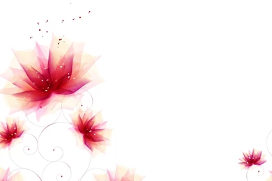 HD Flower Backgrounds Wallpapers And Photos