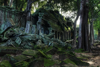 Angkor Wat Cambodia Forests Landscapes Moss Wallpapers   (