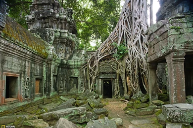 Ta Prohm Ruins Photo, Travel Wallpapers   National Geographic Photo ...