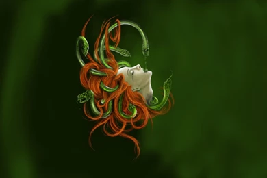 Head Of Medusa Wallpapers /Convert Art To Wallpapers By MetalBR On ...