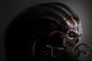 Medusa's Skull >> HD Wallpaper, Get It Now!