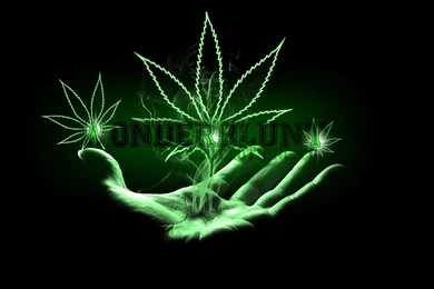 Cool Weed Wallpapers   Desktop Backgrounds