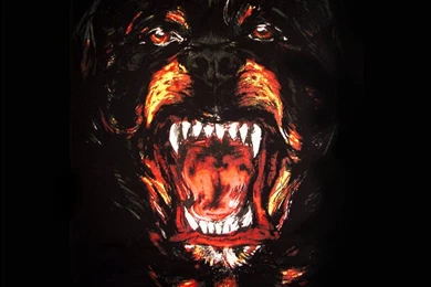 Givenchy iPhone (4/4S) Wallpapers « Kanye West Forum