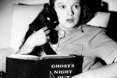Judy Garland Photo, Pics, Wallpapers   Photo