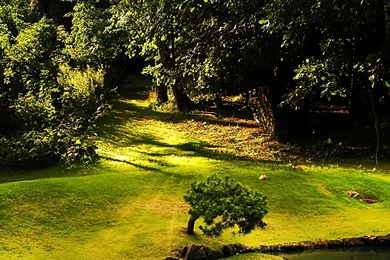 Light Up My Garden >> HD Wallpaper, Get It Now!