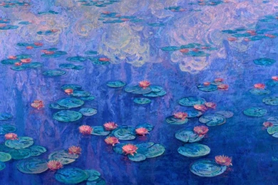WaterLillies.jpg