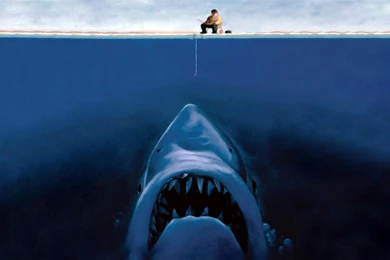 Hilarious Desktop Backgrounds Wallpapers Cave