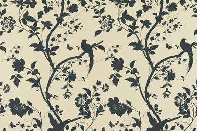 Floral Wallpapers 2   Best Wallpapers Collection