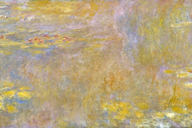 Monet Oskar  Claude Oscar A Coin Water Lilies National Gallery ...
