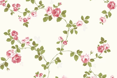 Floral Wallpapers 1080p HD 551   Seo Wallpapers