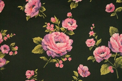 Floral Wallpapers 17   Best Wallpapers Collection