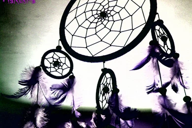 Miscellaneous Backgrounds