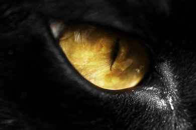 Evil Eye By JeremyYoung On DeviantArt