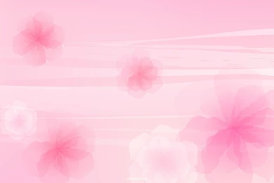 Beautiful Pink Backgrounds Designs Image Wallpapers