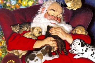 Dog Pictures With Santa   Wallpapers HD Wide