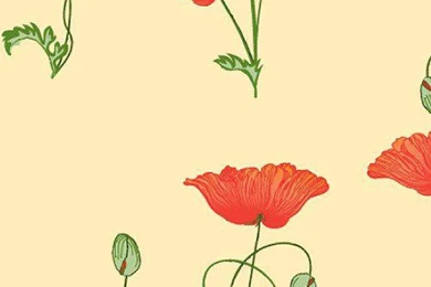 Dolls House Emporium Red Poppy Wallpapers