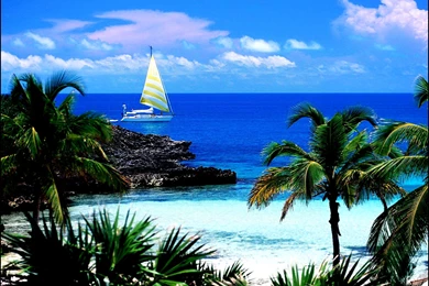 Free Desktop Wallpapers And Screensavers   5 Items