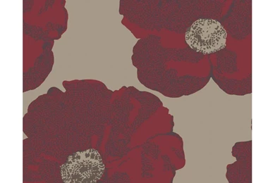 R wid_sen_227261 800x800.jpg