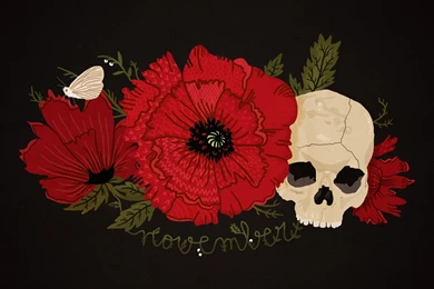 Black Red Poppy Skull Butterfly Flower November Wallpapers ...