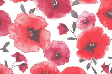 Poppies Wallpaper, Red   Contemporary   Wallpapers   By Graham & Brown
