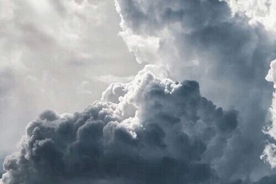 Image Via We Heart It